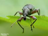 insecten 2022 deel 7